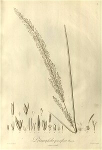 n4_w1150