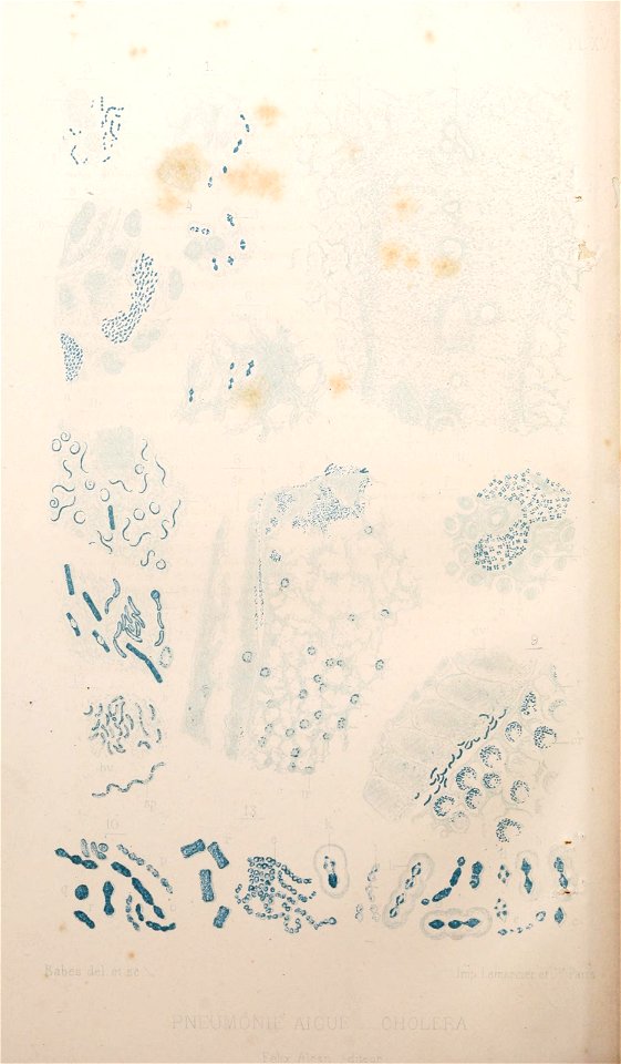 n53_w1150