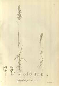 n122_w1150