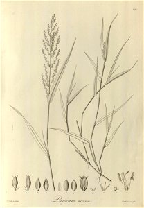 n108_w1150