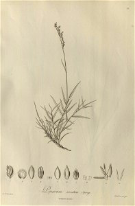 n18_w1150