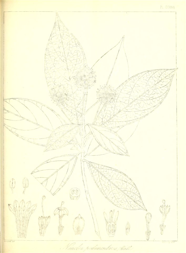 n538_w1150