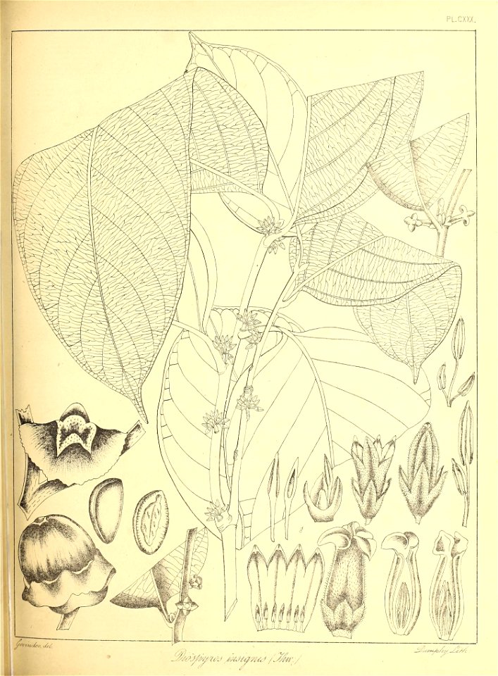 n298_w1150