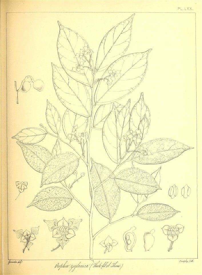 n166_w1150