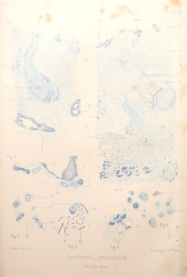 n47_w1150