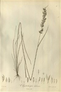 n46_w1150