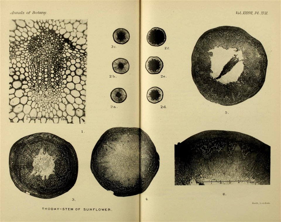 n592_w1150
