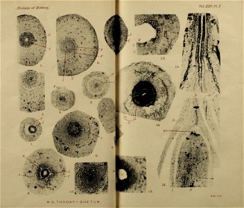 n78_w1150
