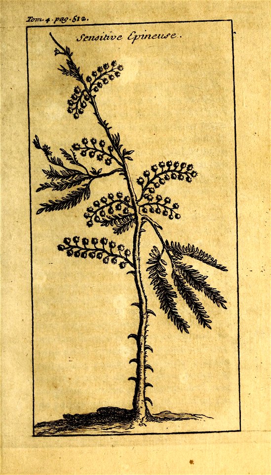n552_w1150