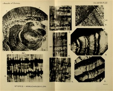 n466_w1150