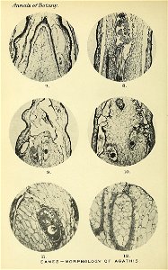 n59_w1150