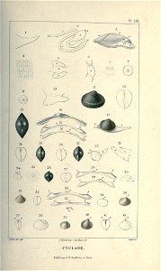 n114_w1150