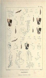 n54_w1150