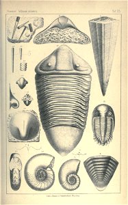 n110_w1150