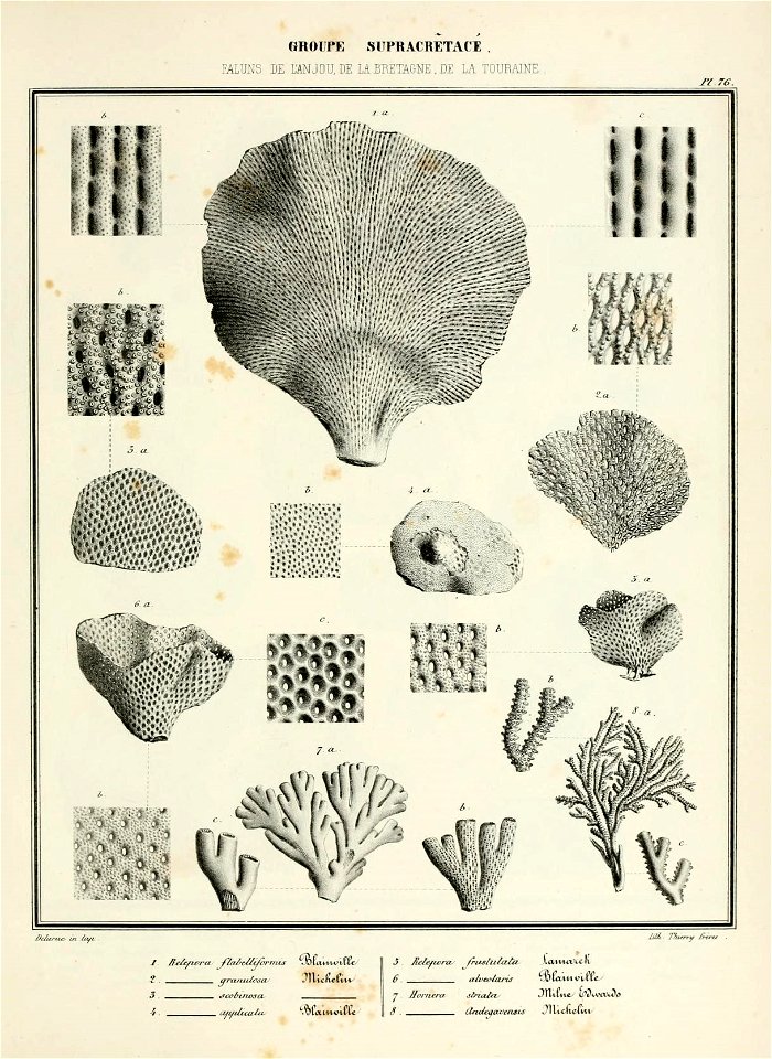n160_w1150