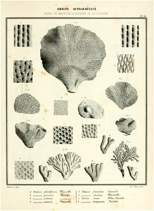 n160_w1150