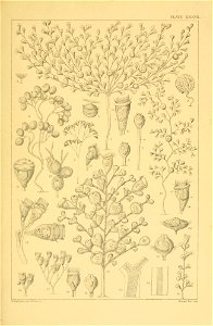 n158_w1150