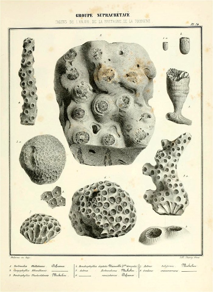 n156_w1150