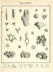 n36_w1150