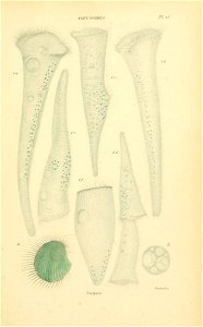 n54_w1150