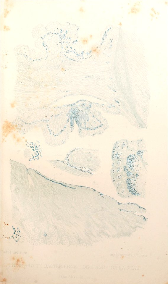 n50_w1150