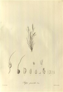 n121_w1150