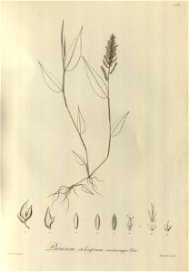 n107_w1150
