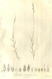n17_w1150