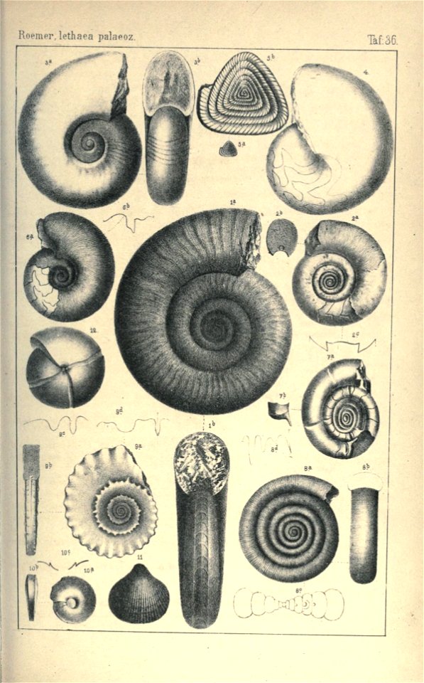 n154_w1150