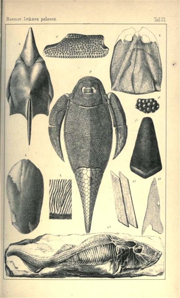 n94_w1150