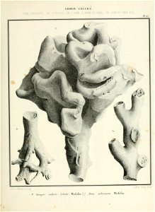 n92_w1150