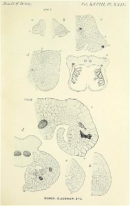 n560_w1150