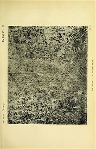 n368_w1150