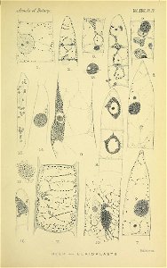n106_w1150