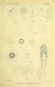 n164_w1150
