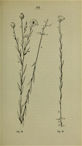 n114_w1150