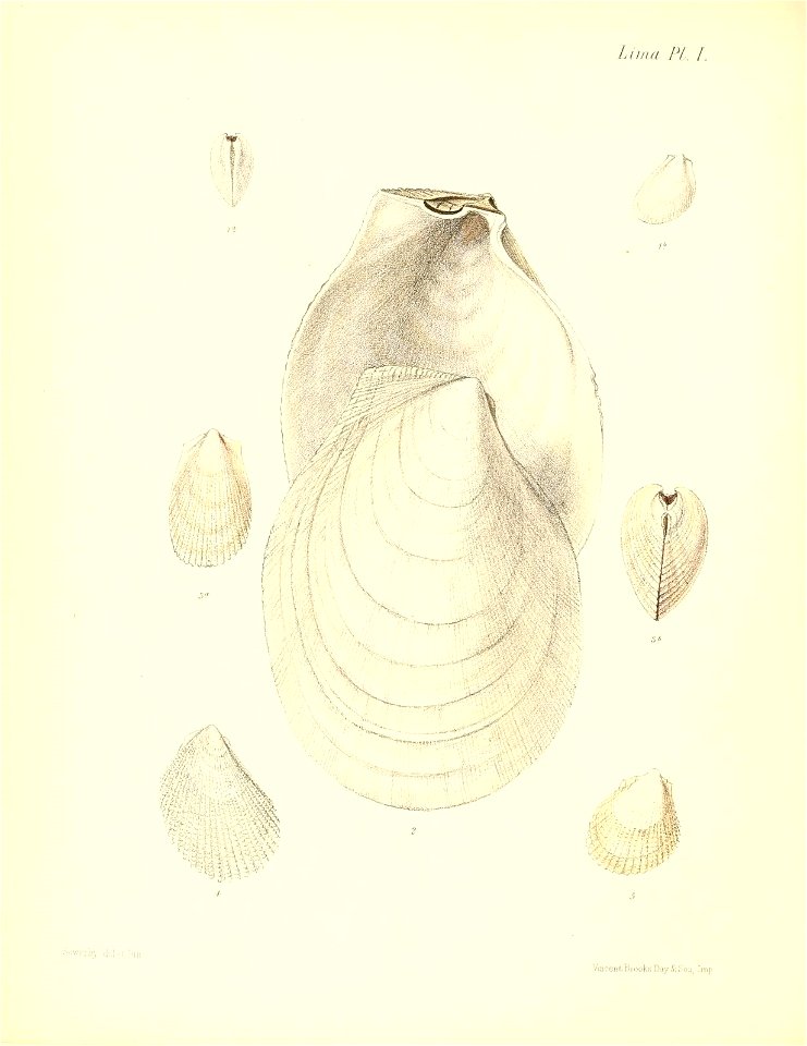 n521_w1150
