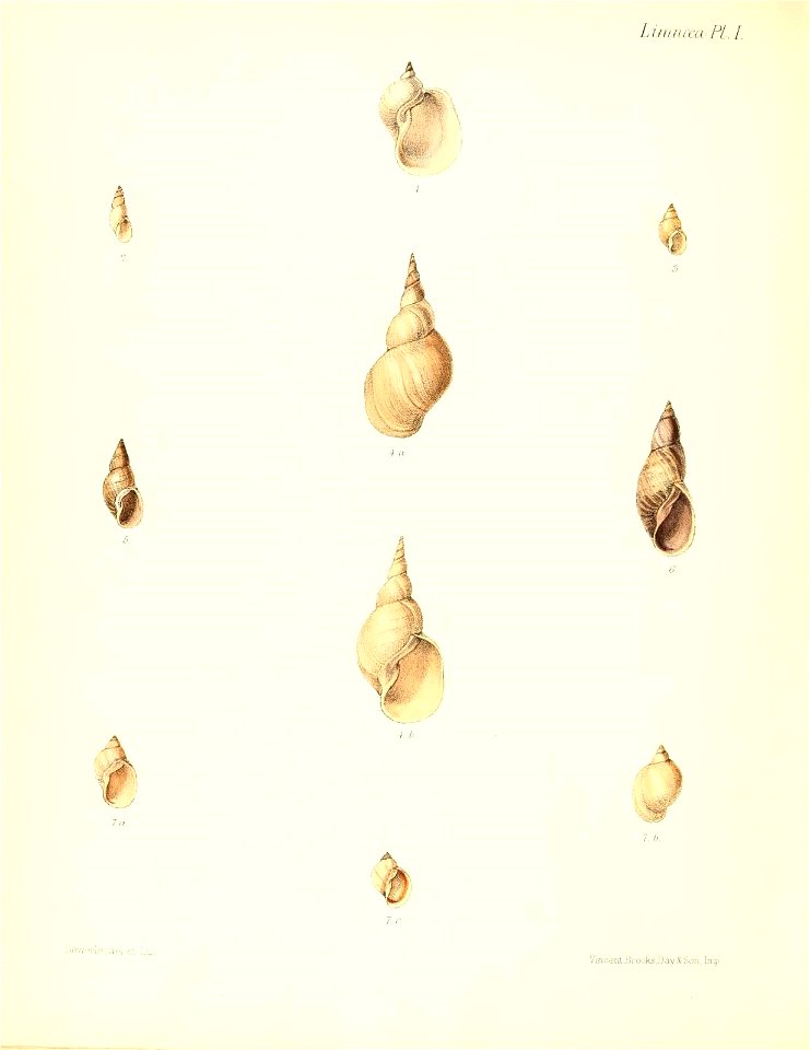 n457_w1150