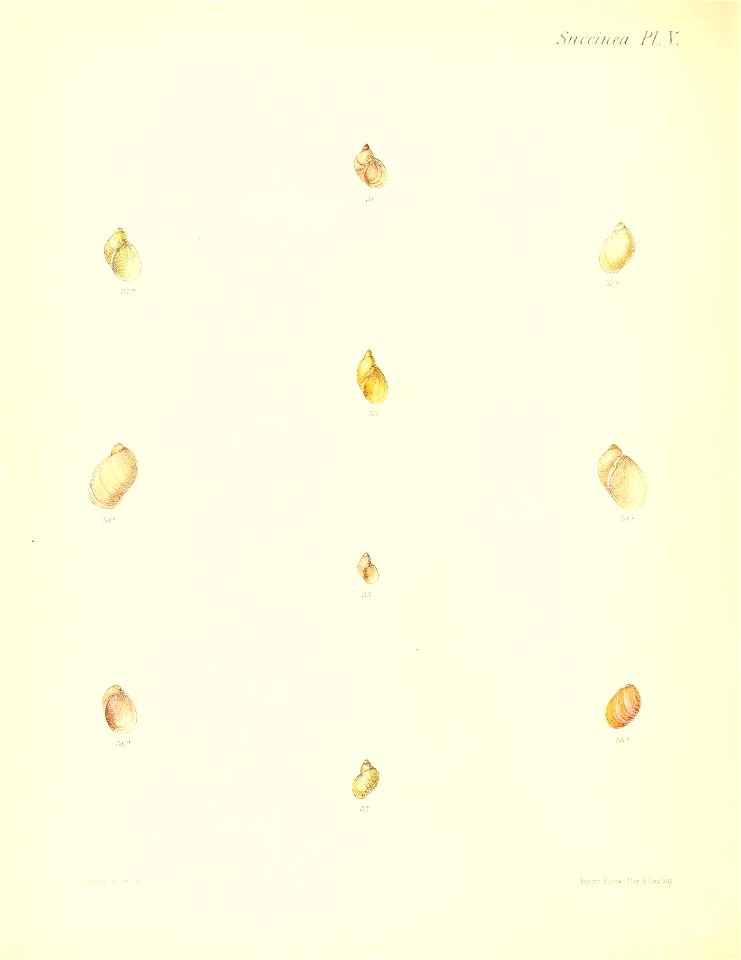 n387_w1150