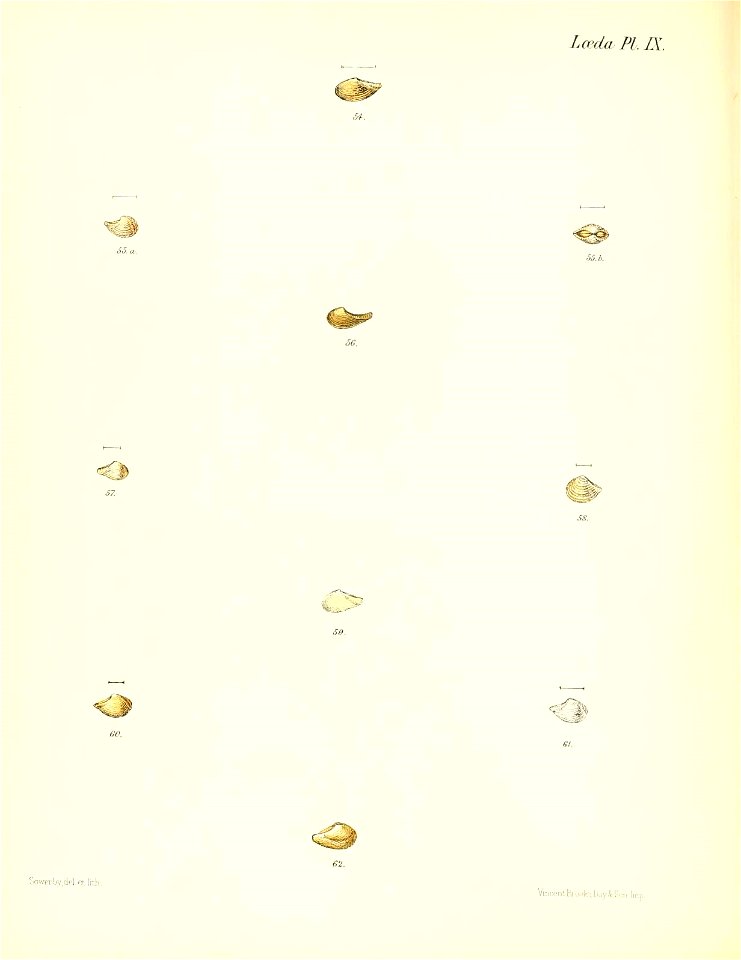 n313_w1150