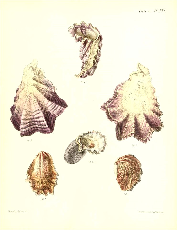 n117_w1150