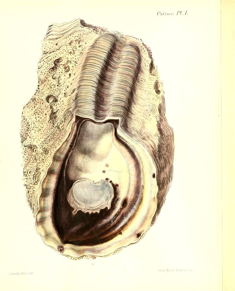 n57_w1150