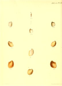 n499_w1150
