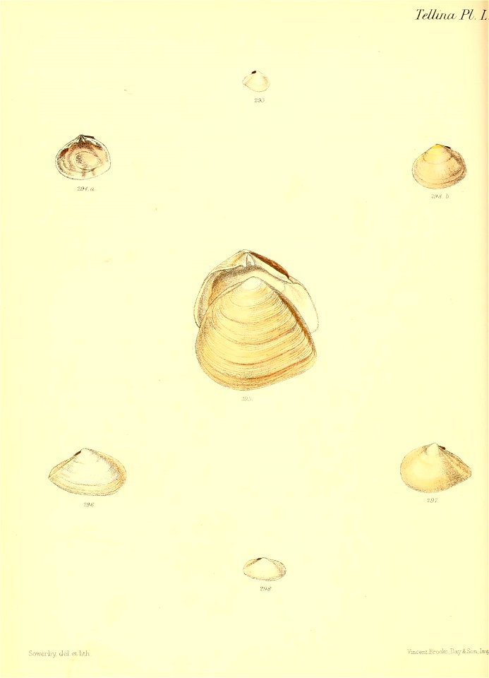 n359_w1150