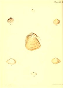 n359_w1150