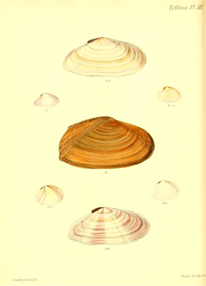 n171_w1150