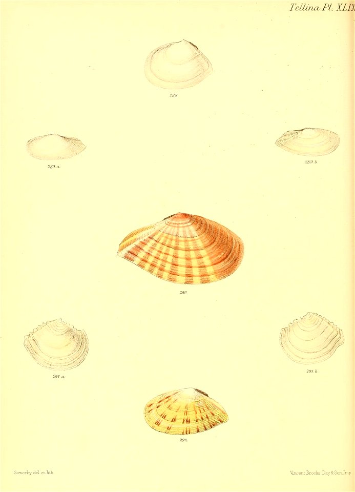 n355_w1150