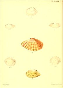 n355_w1150