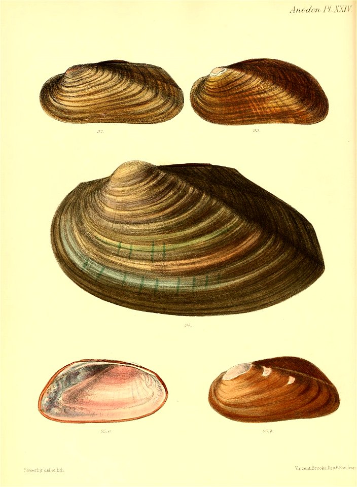 n103_w1150