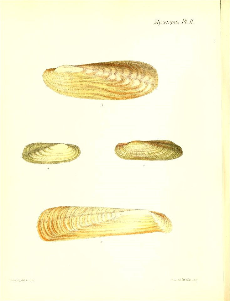 n445_w1150